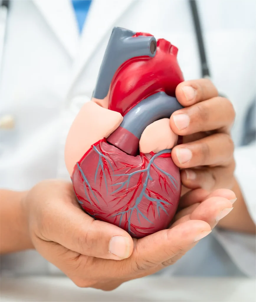 Congenital Heart Disease Treatment & Management